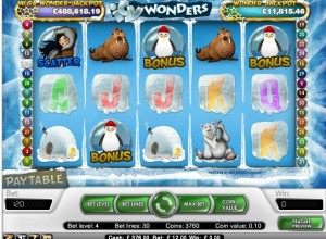 Icy Wonders3