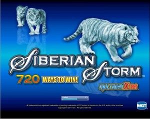 Siberian Storm1