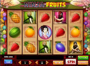 ninjafruits (2)